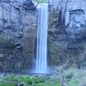 Meet your Posher, Carli